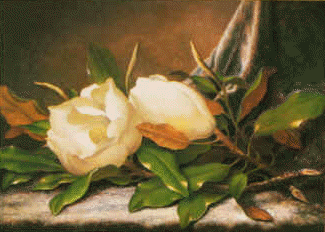 Martin Johnson Heade Giant Magnolias